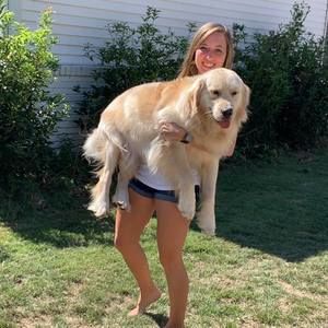 Meet your Posher, Sydney